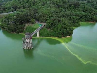 Revelan en la presa de Hatillo existen altos niveles de contaminación