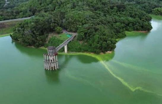 Medio Ambiente investiga color verdoso en las aguas de la presa de Hatillo