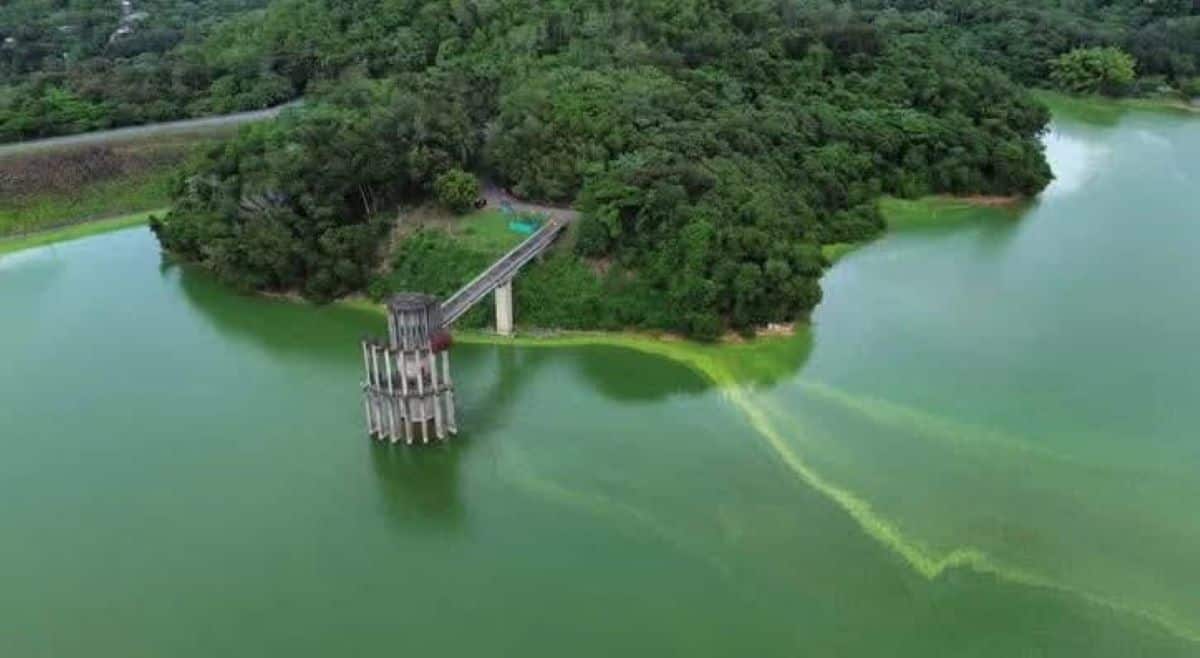 Medio Ambiente investiga color del agua de la presa de Hatillo