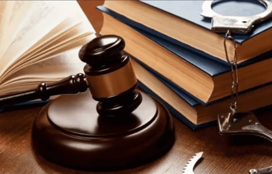 El nuevo CPP: avances, continuidad histórica y el deber constitucional de acompañar