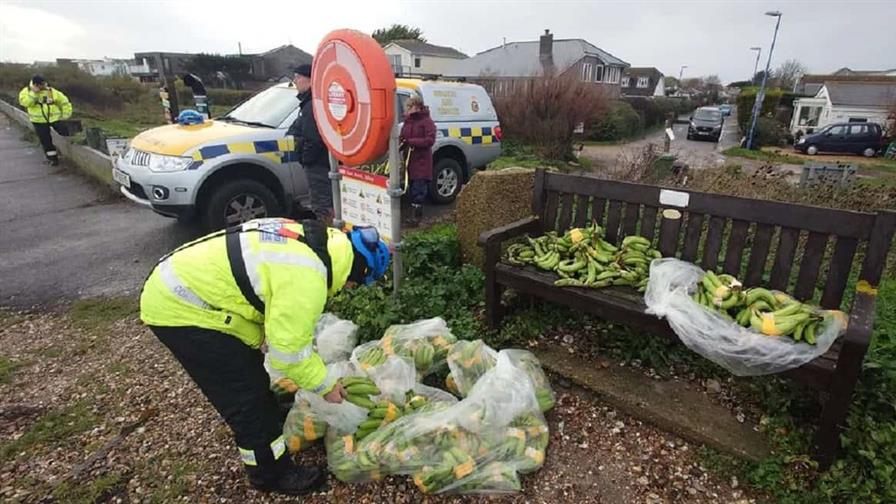 Una ola llena de plátanos llega a las costas inglesas Una ola llena de plátanos llega a las costas inglesas