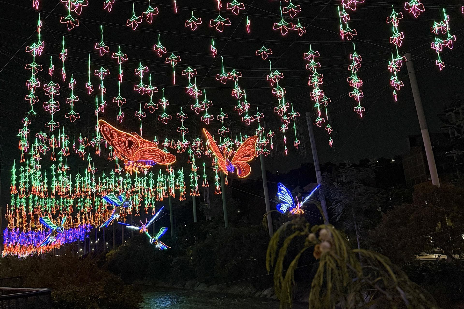 El detalle de las figuras luminosas resalta el trabajo artesanal y la creatividad que distinguen el alumbrado navideño de la ciudad.