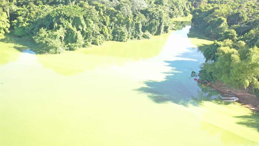 Medio Ambiente atribuye cambios en la presa de Hatillo al crecimiento de algas Medio Ambiente atribuye cambios en la presa de Hatillo al crecimiento de algas
