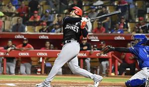 Leones sanan sus heridas del partido anterior ante Licey al derrotarlos 15-1