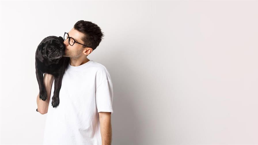 El poder de los perros en la adolescencia: cómo mejoran la salud emocional y la sociabilidad El poder de los perros en la adolescencia: cómo mejoran la salud emocional y la sociabilidad