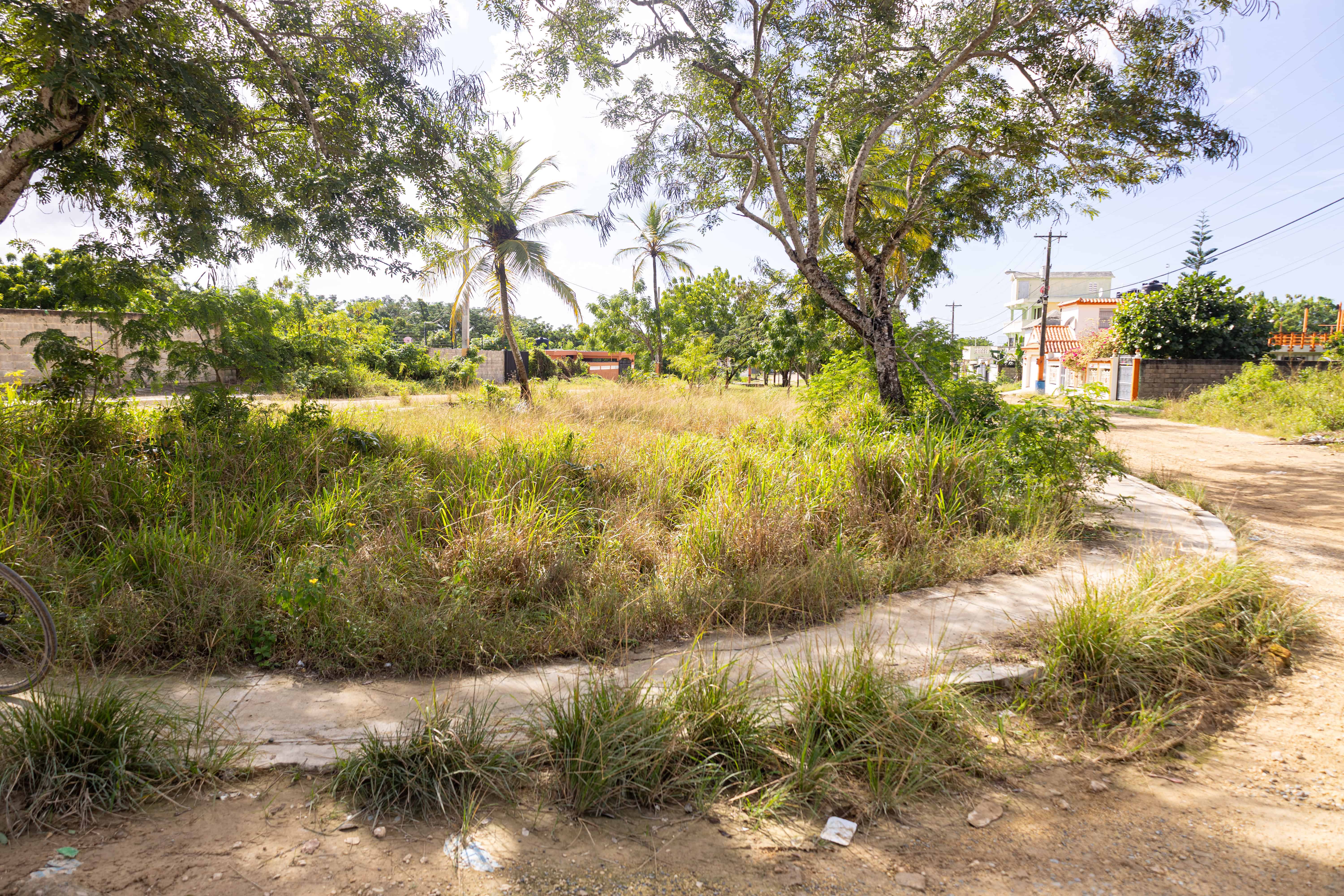 El boulevard central está totalmente abandonado.