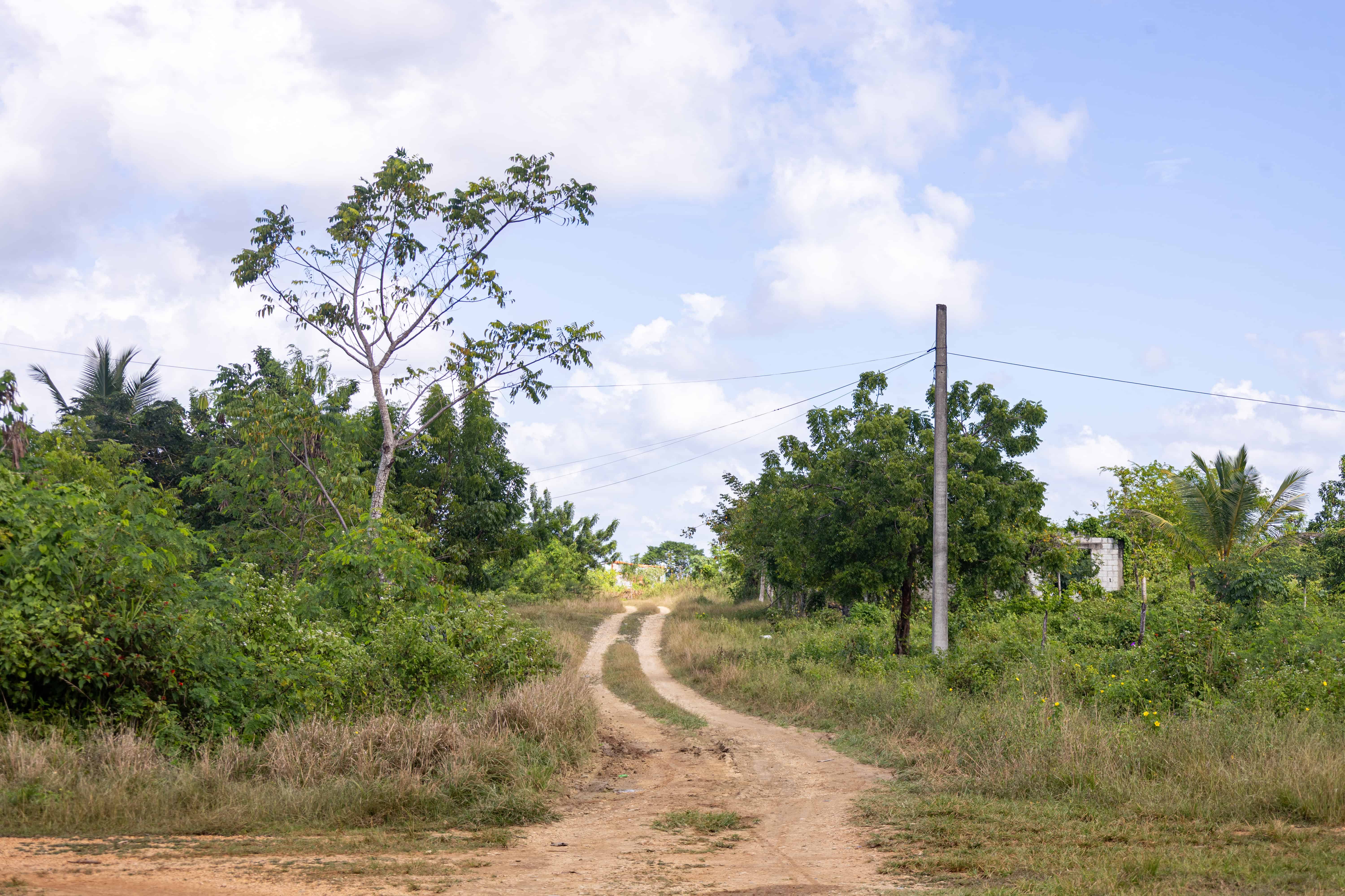 En un camino vecinal se han convertido las calles.