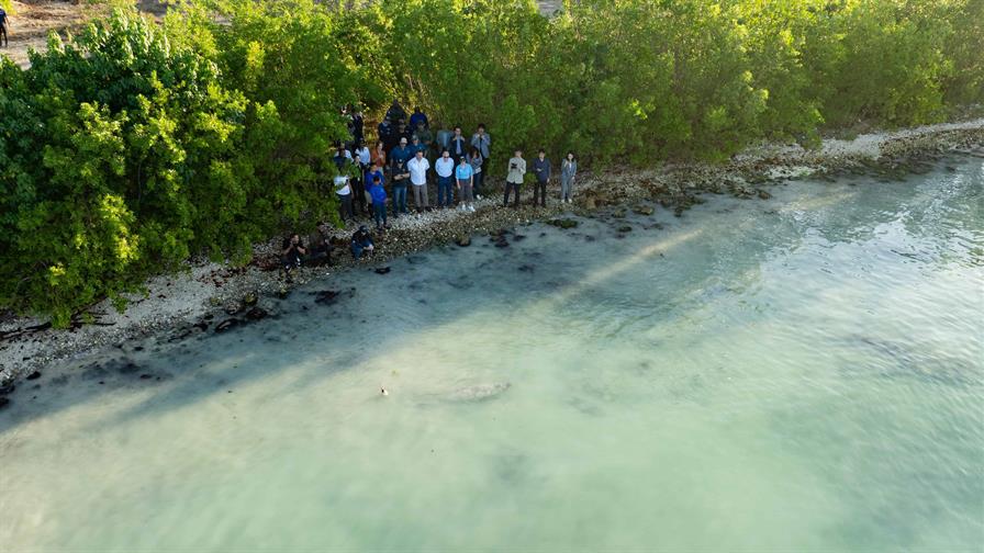 Manatí Jean Pedro inicia su reintroducción al mar tras dos años y medio de rehabilitación