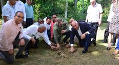 Feda reporta donaci&oacute;n de cinco millones de pl&aacute;ntulas