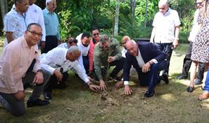 Feda reporta donación de cinco millones de plántulas