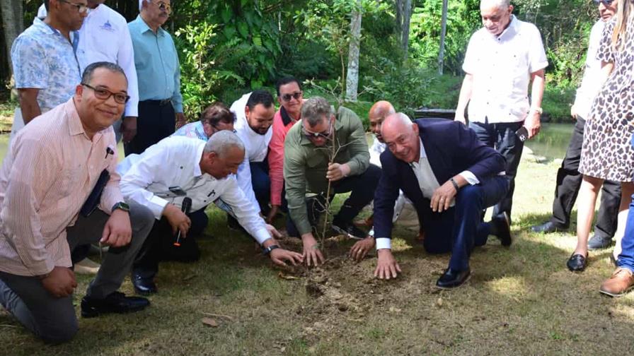 Feda reporta donación de cinco millones de plántulas Feda reporta donación de cinco millones de plántulas