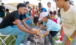 Sanut trae de regreso "A la granja, sin salir de la ciudad" en su segunda edición
