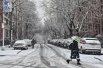 Nueva York, Nueva Jersey y Connecticut amanecen con la primera nevada de la temporada