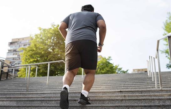 Por qu&eacute; la obesidad es, ante todo, una enfermedad del cerebro