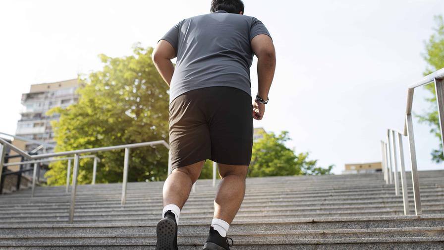 Por qué la obesidad es, ante todo, una enfermedad del cerebro Por qué la obesidad es, ante todo, una enfermedad del cerebro