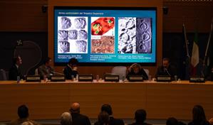 Hallan una inmensa colecci&oacute;n de huellas de dinosaurio en Italia