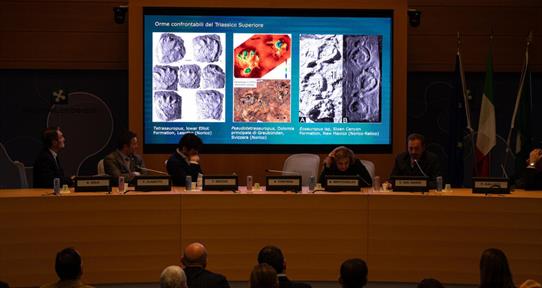 Hallan una inmensa colecci&oacute;n de huellas de dinosaurio en Italia