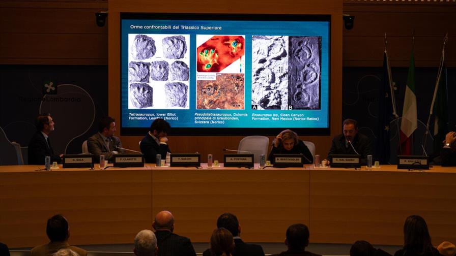 Hallan una inmensa colección de huellas de dinosaurio en Italia Hallan una inmensa colección de huellas de dinosaurio en Italia