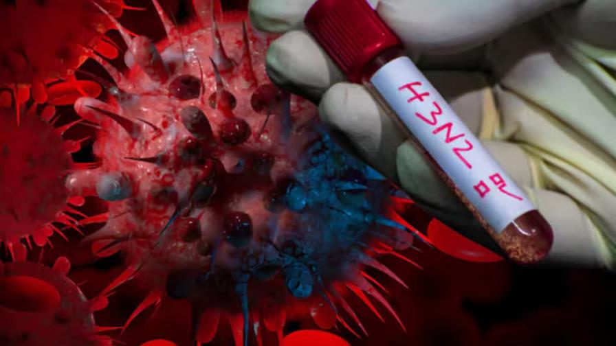 Dos menores en Lima son los primeros casos de influenza A H3N2 en Per&uacute;