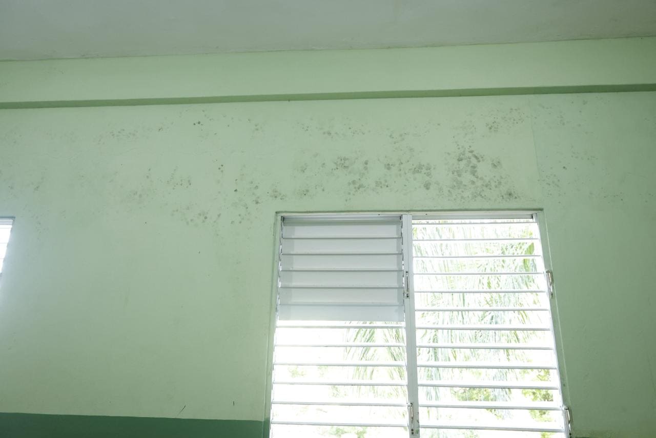 [object HTMLTextAreaElement]