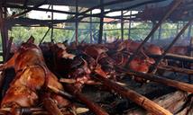 Proconsumidor supervisar&aacute; lechoneras para garantizar calidad de las carnes en Navidad