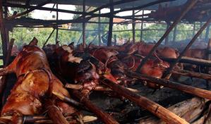 Proconsumidor supervisar&aacute; lechoneras para garantizar calidad de las carnes en Navidad
