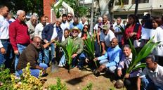 M&aacute;s de 564,000 pl&aacute;ntulas de coco han sido distribuidas por el Feda