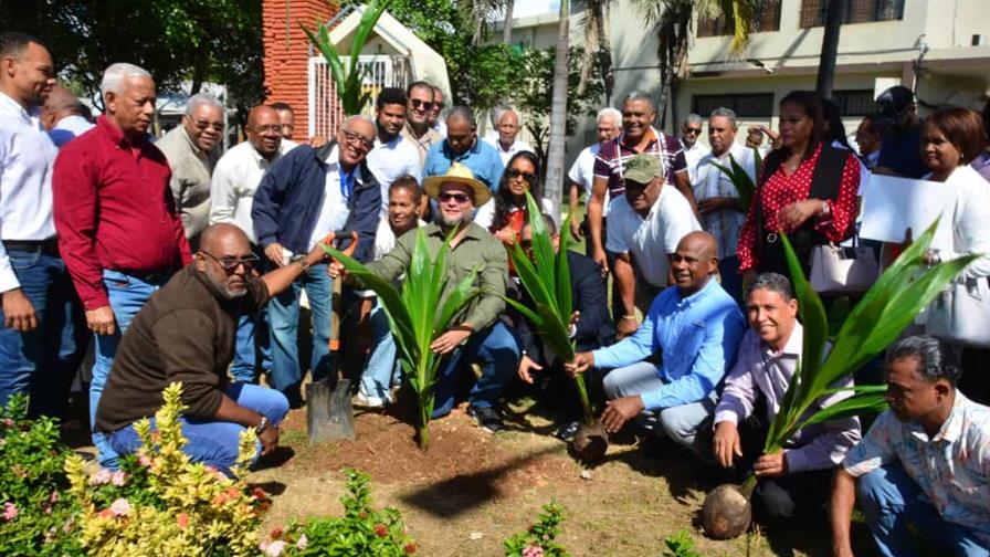 Más de 564,000 plántulas de coco han sido distribuidas por el Feda Más de 564,000 plántulas de coco han sido distribuidas por el Feda