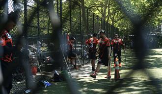 El florenciente imperio de vitilla en Nueva York