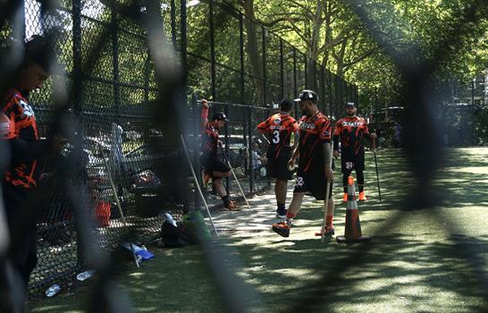 El florenciente imperio de vitilla en Nueva York