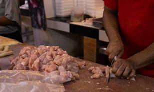 Habr&aacute; 24.7 millones de pollos para Navidad, aseguran avicultores