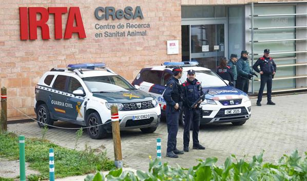 Sin evidencias de que el brote espa&ntilde;ol de peste porcina saliera del laboratorio IRTA-CReSA