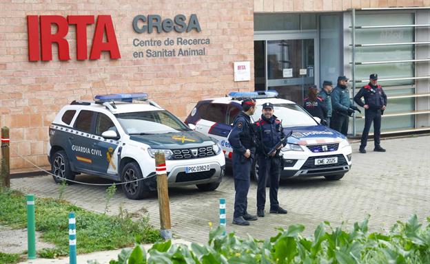 Sin evidencias de que el brote espa&ntilde;ol de peste porcina saliera del laboratorio IRTA-CReSA