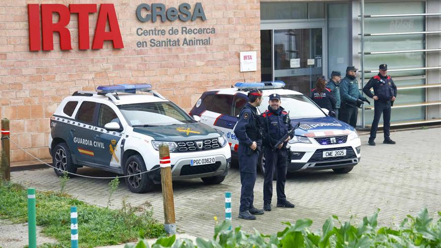 Sin evidencias de que el brote espa&ntilde;ol de peste porcina saliera del laboratorio IRTA-CReSA