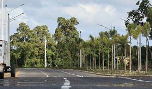 El Gobierno inaugura la fase final de la avenida Ecológica