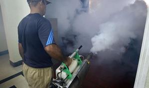 Cuba eleva a 55 el total de muertos por dengue y chikungu&ntilde;a con tres nuevos fallecimientos
