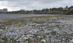 Ley de Residuos S&oacute;lidos pone fecha de caducidad a pl&aacute;sticos no biodegradables de un solo uso