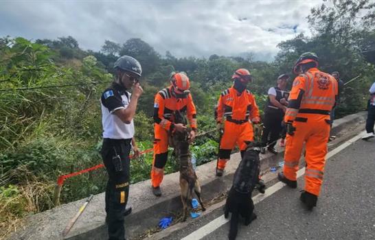 Hallan 10 cad&aacute;veres en zona boscosa de Guatemala