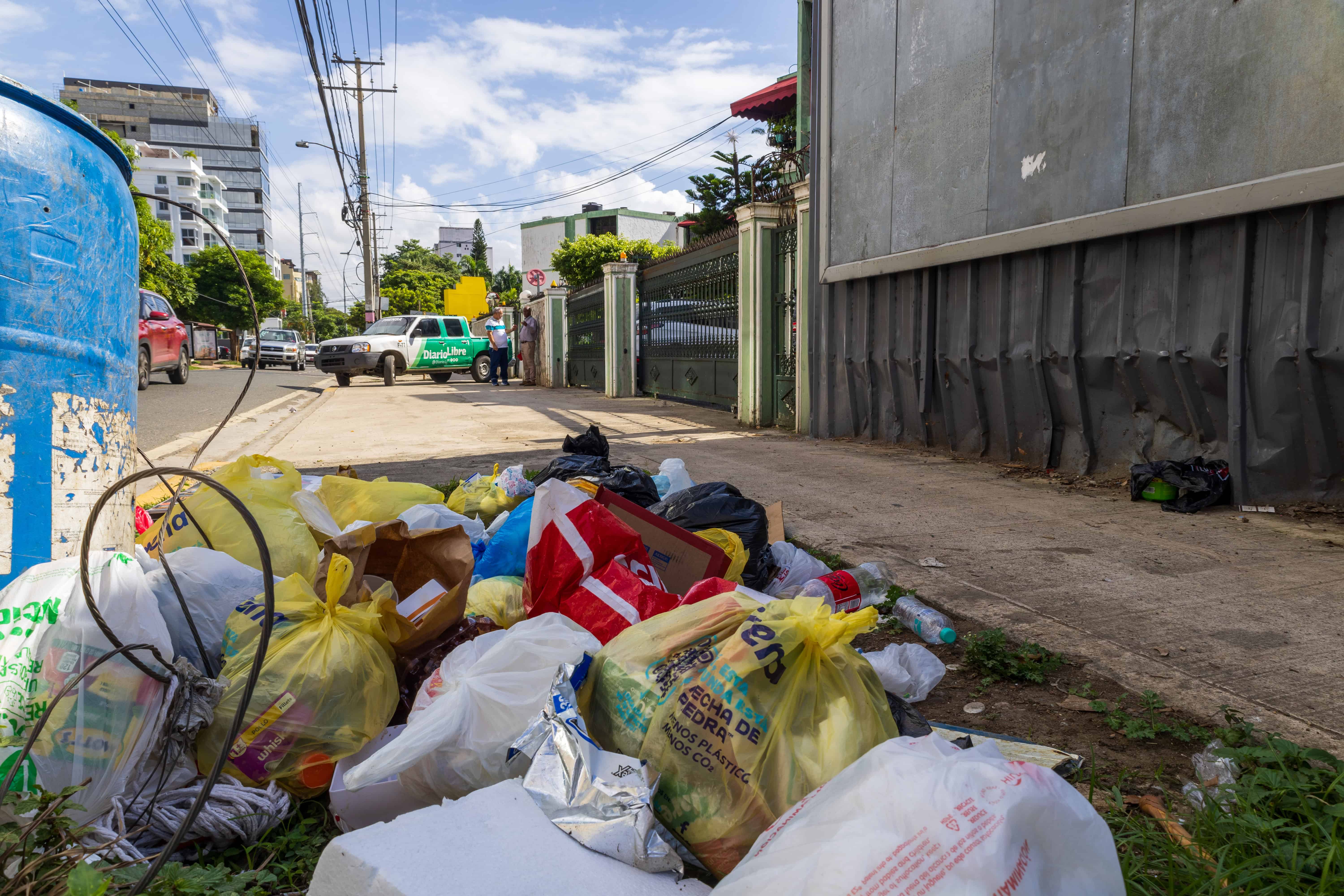 Los ratones se alimentan de la basura.