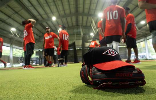 Mi pap&aacute; y los Leones del Escogido