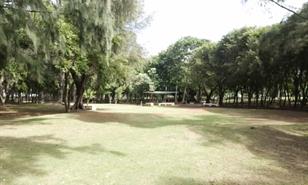 Alcald&iacute;a explica condiciones para el uso de juegos de mesa como el domin&oacute; en el parque Mirador Sur