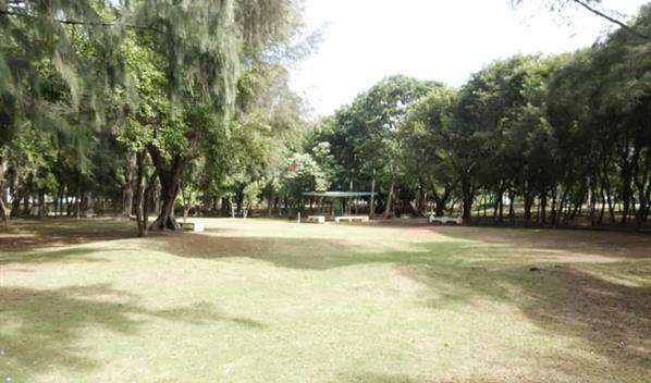 Alcald&iacute;a explica condiciones para el uso de juegos de mesa como el domin&oacute; en el parque Mirador Sur