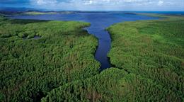 &Aacute;reas protegidas en 2025: los otros destinos naturales que registraron m&aacute;s visitas en el pa&iacute;s