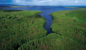 &Aacute;reas protegidas en 2025: los otros destinos naturales que registraron m&aacute;s visitas en el pa&iacute;s