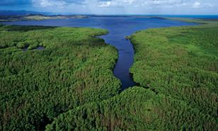 &Aacute;reas protegidas en 2025: los otros destinos naturales que registraron m&aacute;s visitas en el pa&iacute;s