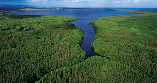 &Aacute;reas protegidas en 2025: los otros destinos naturales que registraron m&aacute;s visitas en el pa&iacute;s