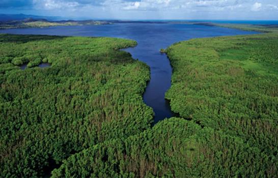 &Aacute;reas protegidas en 2025: los otros destinos naturales que registraron m&aacute;s visitas en el pa&iacute;s