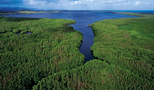 &Aacute;reas protegidas en 2025: los otros destinos naturales que registraron m&aacute;s visitas en el pa&iacute;s