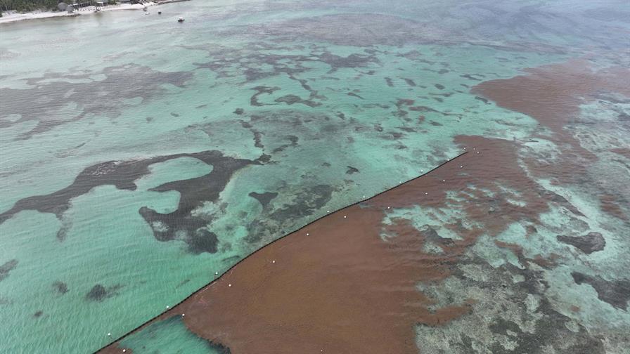 Sargazo Déjà Vu Sargazo Déjà Vu