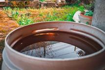 Rep&uacute;blica Dominicana cierra el 2025 con cero muertes asociadas al dengue